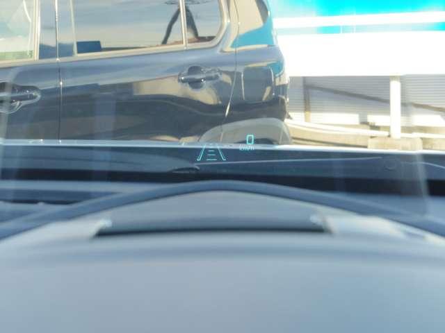 XD TRG AWD (17枚目)