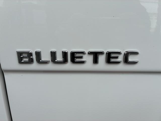 Ｇクラス Ｇ３５０　ブルーテック（10枚目）