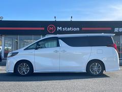 եɥϥ֥å ƥ֥饦󥸣ӡʣ£̥ץߥॵɡץࡼ롼աϻ͡ѥΥߥåӥ塼˥ 0901194A30251212W002 5