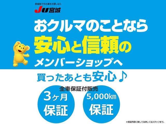 X LパッケージS 関東仕入れ スマートアシスト2 急発進抑制 ワンセグナビ バックカメラ スマートキー プッシュスタート(34枚目)