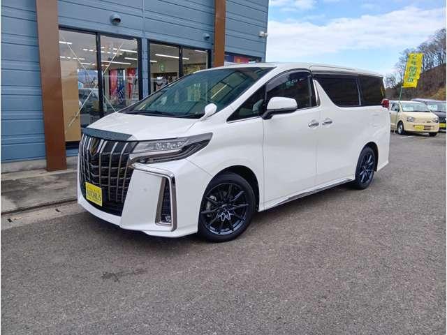 アルファード 2.5S タイプゴールド プリクラッシュセーフティ レーダークルーズ ムーンルーフ 純正ディスプレイオーディオ ナビ フルセグ Bluetooth DVDプレーヤー Bカメラ 後席モニター ドライブレコーダー前後 ETC2.0(73枚目)