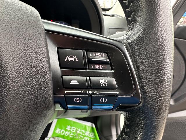 レヴォーグ １．６ＧＴアイサイト　４ＷＤ　本革シート　愛知県使用履歴　アドバンスセーフティパッケージ　全方位検知オプション安全装備　フルセグナビ　バックカメラ　スマートキー　プッシュスタート（29枚目）