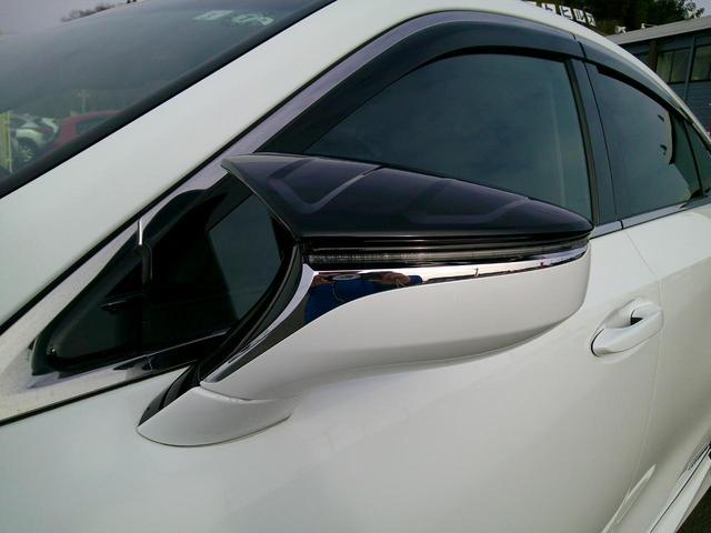 �s�q�c�~���[�J�o�[