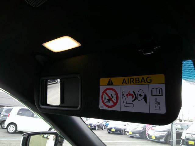 �o�C�U�[�ɂ̓~���[�t��