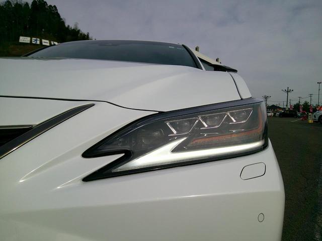 �O��k�d�c�w�b�h���C�g