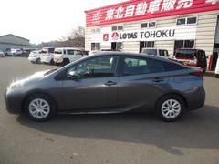 �ץꥦ�� �ӡ����ף� 0901295A30250301W001 3