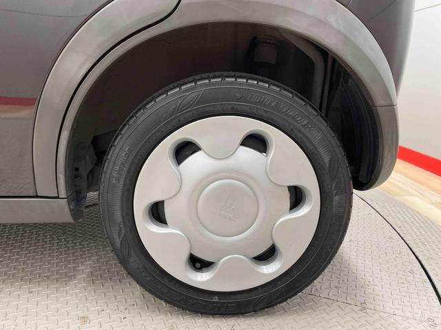 アルトラパン L(20枚目)