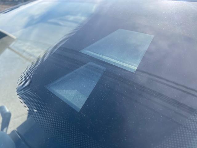 パンダ イージー(27枚目)