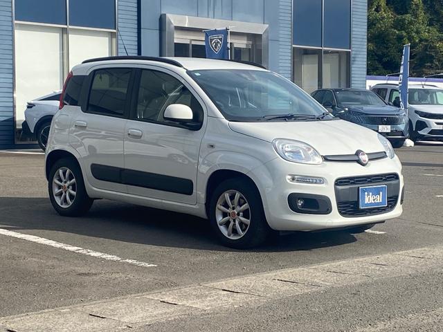 パンダ イージー(44枚目)