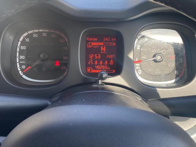 パンダ イージー(53枚目)