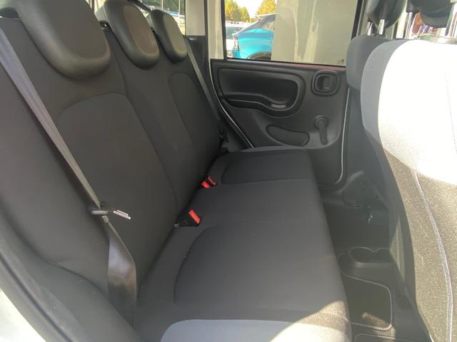 パンダ イージー(58枚目)