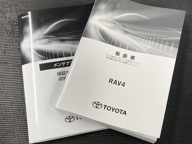 ＲＡＶ４ Ｘ　フルセグ　メモリーナビ　ＤＶＤ再生　バックカメラ　衝突被害軽減システム　ＥＴＣ　ドラレコ　ＬＥＤヘッドランプ　ワンオーナー（40枚目）