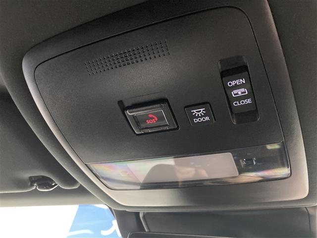 室内はもちろん、表情も明るく照らします。