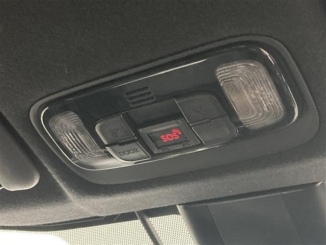 �����͂������A�\������邭�Ƃ炵�܂��B