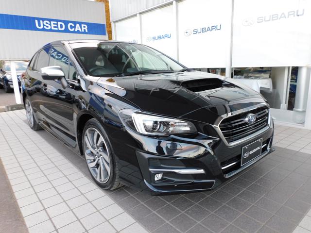 レヴォーグ 1.6GT-S EyeSight SDナビ ETC SDナビ ETC ドライブレコーダー(前・後) ステアリングオーディオリモコン サイドビューカメラ フロントビューカメラ 運転席・助手席シートヒーター(11枚目)