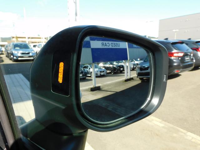 フォレスター STIスポーツ SDナビ Rカメラ ETC SDナビ リヤビューカメラ ETC2.0 パワーリヤゲート スマートリヤビューミラー スバルリヤビークルディテクション 運転席・助手席・後席シートヒーター ステアリングヒーター(18枚目)