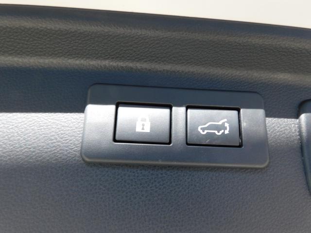 フォレスター STIスポーツ SDナビ Rカメラ ETC SDナビ リヤビューカメラ ETC2.0 パワーリヤゲート スマートリヤビューミラー スバルリヤビークルディテクション 運転席・助手席・後席シートヒーター ステアリングヒーター(54枚目)