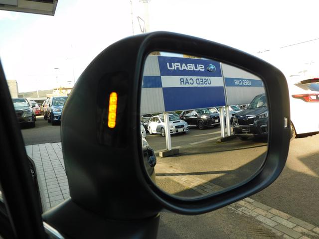 フォレスター SPORT EyeSight搭載車 SDナビ Rカメラ SDナビ リヤビューカメラ ETC2.0 HDMI&USBケーブル(インパネ用) スバルリヤビークルディテクション 運転席・助手席・後席シートヒーター ステアリングヒーター(17枚目)