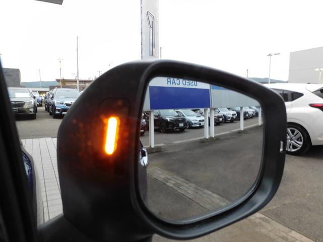 フォレスター アドバンス SDナビ Rカメラ ETC2.0 ドラレコ SDナビ リヤビューカメラ ETC2.0 ドライブレコーダー LEDアクセサリーライナー スマートリヤビューミラー パワーリヤゲート フロントビューカメラ ドライバーモニタリングシステム(18枚目)