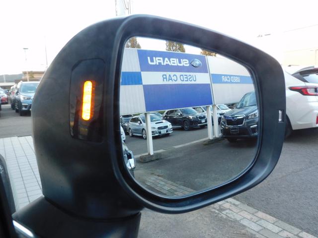 フォレスター アドバンス SDナビ Rカメラ ETC ドラレコ SDナビ リヤビューカメラ ETC2.0 ナビ連動ドライブレコーダー スマートリヤビューミラー スバルリヤビークルディテクション サイドビューカメラ フロントビューカメラ(19枚目)