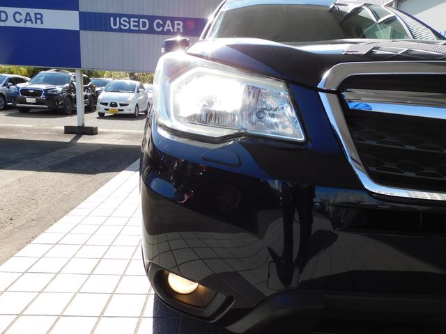 フォレスター 2.0i-S EyeSight SDナビ Rカメラ ETC SDナビ リヤビューカメラ ETC パワーリヤゲート 運転席・助手席シートヒーター付きパワーシート キーレスアクセス&プッシュスタート オートライト&オートワイパー(15枚目)