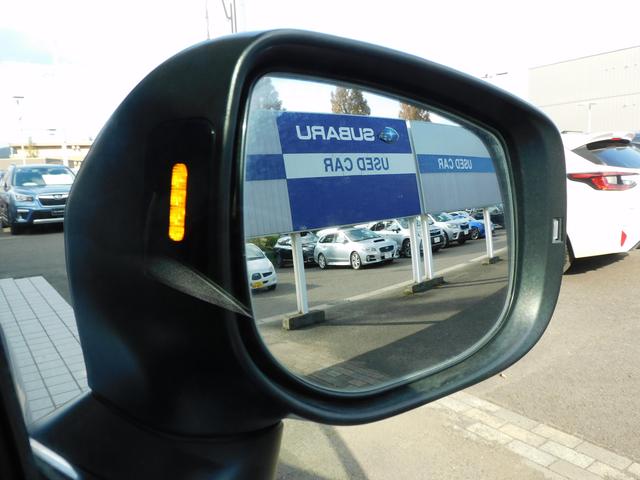 フォレスター Ａｄｖａｎｃｅ　ＥｙｅＳｉｇｈｔ搭載車　ＳＤナビ　Ｒカメラ　ＳＤナビ　リヤビューカメラ　ＥＴＣ２．０　ドライブレコーダー　ＬＥＤアクセサリーライナー　サンルーフ　スマートリヤビューミラー　フロントビューカメラ　サイドビューカメラ　ステアリングヒーター（18枚目）