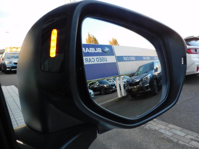 レヴォーグ ＧＴ　ＥＸ　ＥｙｅＳｉｇｈｔ　Ｘ搭載車　１１．６インチセンターインフォメーションディスプレイ＆インフォテインメントシステム　リヤビューカメラ　ＥＴＣ　リヤビューカメラ　サイドビューカメラ　フロントビューカメラ（18枚目）