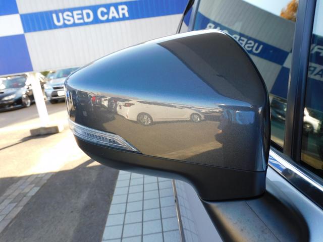 フォレスター SPORT EyeSight搭載車 SDナビ Rカメラ SDナビ リヤビューカメラ ETC2.0 ドライブレコーダー LEDアクセサリーライナー スマートリヤビューミラー STIマフラー サンルール パワーリヤゲート(17枚目)