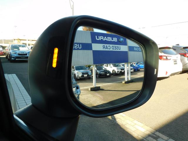 フォレスター SPORT EyeSight搭載車 SDナビ Rカメラ SDナビ リヤビューカメラ ETC2.0 ドライブレコーダー LEDアクセサリーライナー スマートリヤビューミラー STIマフラー サンルール パワーリヤゲート(18枚目)