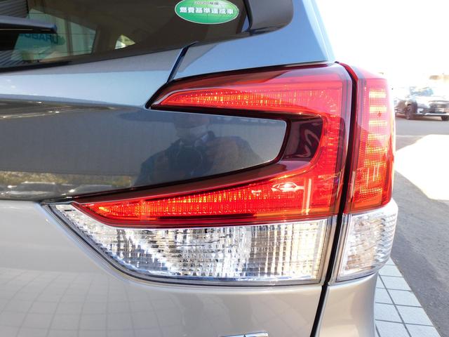 フォレスター SPORT EyeSight搭載車 SDナビ Rカメラ SDナビ リヤビューカメラ ETC2.0 ドライブレコーダー LEDアクセサリーライナー スマートリヤビューミラー STIマフラー サンルール パワーリヤゲート(20枚目)