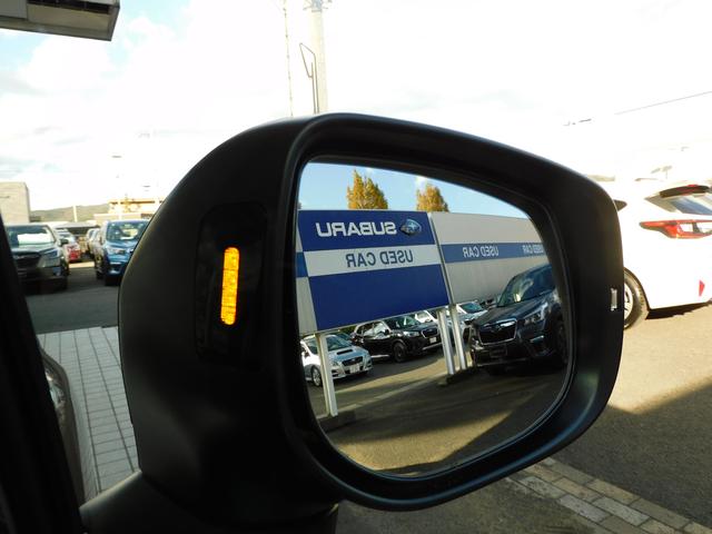 フォレスター スポーツ SDナビ Rカメラ ETC ドラレコ SDナビ リヤビューカメラ ETC2.0 ドライブレコーダー LEDアクセサリーライナー パワーリヤゲート スマートリヤビューミラー カーゴルームトレー(17枚目)