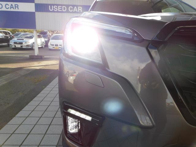 フォレスター スポーツ SDナビ Rカメラ ETC ドラレコ SDナビ リヤビューカメラ ETC2.0 ドライブレコーダー LEDアクセサリーライナー パワーリヤゲート スマートリヤビューミラー カーゴルームトレー(18枚目)