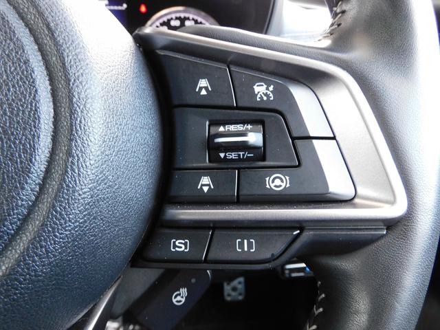 フォレスター スポーツ SDナビ Rカメラ ETC ドラレコ SDナビ リヤビューカメラ ETC2.0 ドライブレコーダー LEDアクセサリーライナー パワーリヤゲート スマートリヤビューミラー カーゴルームトレー(46枚目)