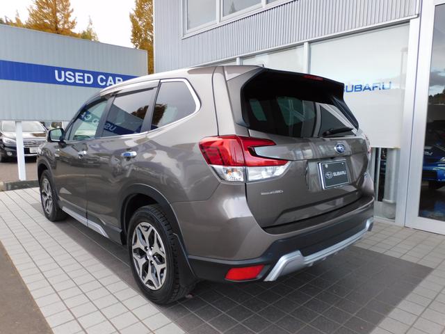 フォレスター アドバンス SDナビ Rカメラ ETC ドラレコ SDナビ リヤビューカメラ ETC2.0 ナビ連動ドライブレコーダー LEDアクセサリーライナー スマートリヤビューミラー ドライバーモニタリングシステム 冬用タイヤ装着(10枚目)