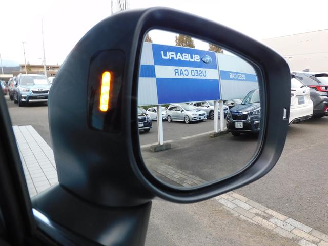 フォレスター アドバンス SDナビ Rカメラ ETC ドラレコ SDナビ リヤビューカメラ ETC2.0 ナビ連動ドライブレコーダー LEDアクセサリーライナー スマートリヤビューミラー ドライバーモニタリングシステム 冬用タイヤ装着(18枚目)