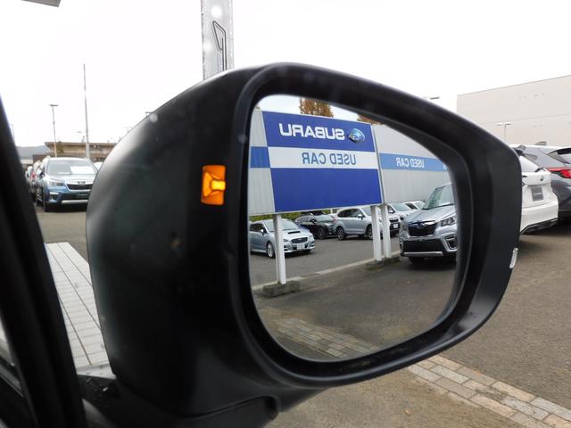 クロストレック リミテッド　センターインフォメーションディスプレイ　１１．６インチセンターインフォメーションディスプレイ＆インフォテインメントシステム（ナビ機能付き）　ＬＥＤアクセサリーライナー　サイドビューカメラ　フロントビューカメラ（19枚目）