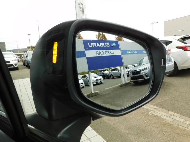 レヴォーグ ＳＴＩスポーツ　ＥＸセンターインフォメーションディスプレイ　１１．６インチセンターインフォメーションディスプレイ＆インフォテインメントシステム　ＥＴＣ　ＬＥＤアクセサリーライナー　　リヤビューカメラ　サイドビューカメラ　フロントビューカメラ　ドライブレコーダー（18枚目）