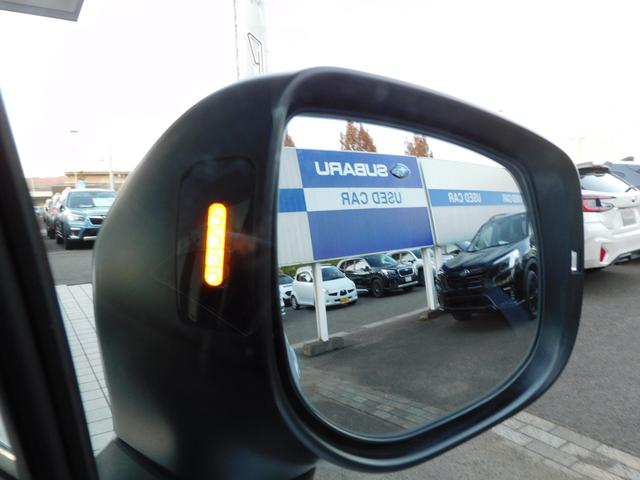 ＸＶ ２．０ｉ－Ｓ　ＥｙｅＳｉｇｈｔ　ＳＤナビ　Ｒカメラ　ＥＴＣ　ＳＤナビ　リヤビューカメラ　ＥＴＣ２．０　ドライブレコーダー　ＬＥＤアクセサリーライナー　サイドビューカメラ　スバルリヤビークルディテクション　オートライト＆オートワイパー（17枚目）