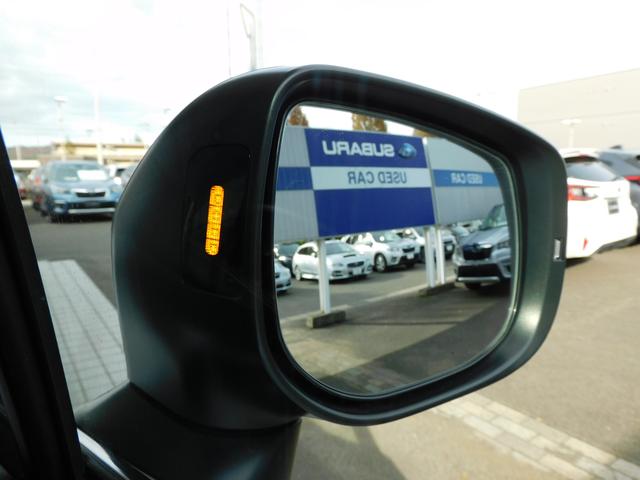 フォレスター Ａｄｖａｎｃｅ　ＥｙｅＳｉｇｈｔ搭載車　ＳＤナビ　Ｒカメラ　ＳＤナビ　リヤビューカメラ　ＥＴＣ２．０　ＬＥＤアクセサリーライナー　スバルリヤビークルディテクション　運転席・助手席・後席シートヒーター　ステアリングヒーター（18枚目）