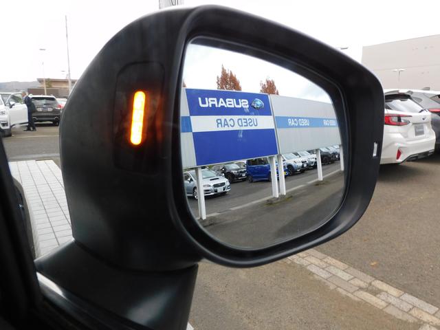 フォレスター Ａｄｖａｎｃｅ　ＥｙｅＳｉｇｈｔ搭載車　ＳＤナビ　Ｒカメラ　ＳＤナビ　リヤビュー　カメラ　ＥＴＣ　ステアリングヒーター　スバルリヤビークルディテクション　運転席・助手席・後席シートヒーター　オートライト＆オートワイパー（17枚目）