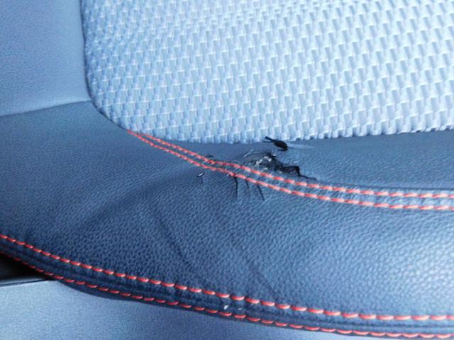 フォレスター Ｘ－ＢＲＥＡＫ　ＥｙｅＳｉｇｈｔ搭載車　ＳＤナビ　Ｒカメラ　ＳＤナビ　リヤビューカメラ　ＥＴＣ２．０　ドライブレコーダー　ＬＥＤアクセサリーライナー　スマートリヤビューミラー　パワーリヤゲート　フットランプ（29枚目）