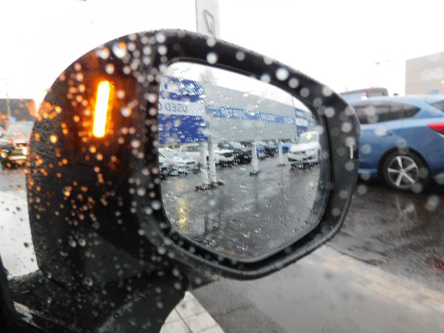 レヴォーグ ＧＴ－Ｈ　ＥＸ　ＥｙｅＳｉｇｈｔ　Ｘ搭載車　１１．６インチセンターインフォメーションディスプレイインフォテインメントシステム　ＬＥＤアクセサリーライナー　ＣＤ／ＤＶＤデッキ　ＥＴＣ２．０　ドライブレコーダー（17枚目）