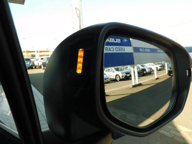 レヴォーグ ＳＴＩスポーツＲ　ＥＸセンターインフォメーションディスプレイ　１１．６インチセンターインフォメーションディスプレイ＆インフォテインメントシステム　ＥＴＣ２．０　ドライブレコーダー　ＬＥＤアクセサリーライナー　リヤビュー・サイドビュー・フロントビューカメラ（19枚目）