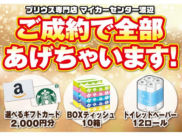 アクア S 純正SDナビ・地デジ・バックカメラ・Bluetooth・ETC・プッシュスタート・スマートキー(3枚目)