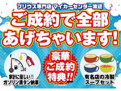 期間中のご成約で嬉しいガソリン満タン納車！有名店の和風スープセット！ミネラルウォーター１箱！トイレットペーパー１２ロール！をまとめてプレゼント致します！！ 3