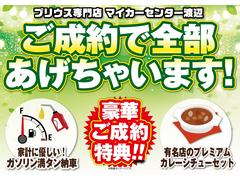 期間中のご成約で嬉しいガソリン満タン納車！有名店のプレミアムカレーシチューセット！をまとめてプレゼント致します！！ 3