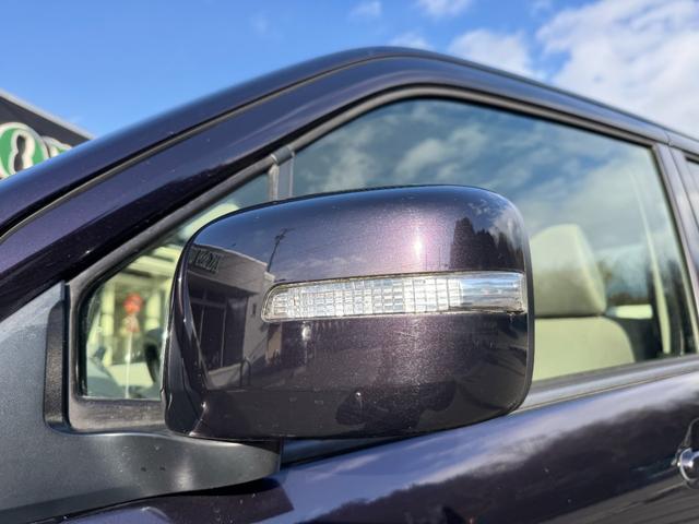 �d���i�[�T�C�h�E�C���J�[�~���[��