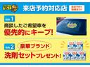 アエラス　プレミアムエディション　保証付　禁煙車　７人乗　ローダウン　外品２０ＡＷ　モデリスタグリル　両側電動スライドドア　純正８型ナビ　フリップダウンモニター　ＴＶ　Ｂカメラ　クルコン　プッシュ＆スマートキー　ＥＴＣ（36枚目）
