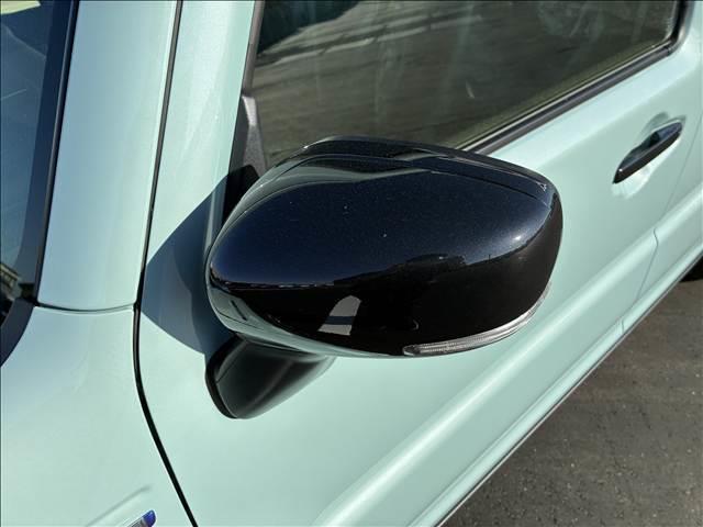 ハスラー タフワイルド 届出済未使用車(23枚目)