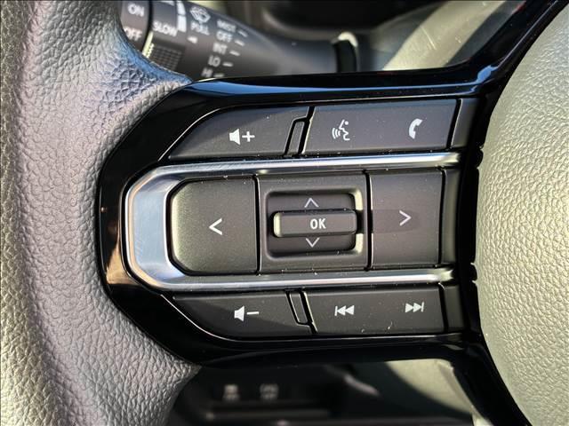 スペーシア ＨＹＢＲＩＤ　Ｘ　届出済未使用車（29枚目）